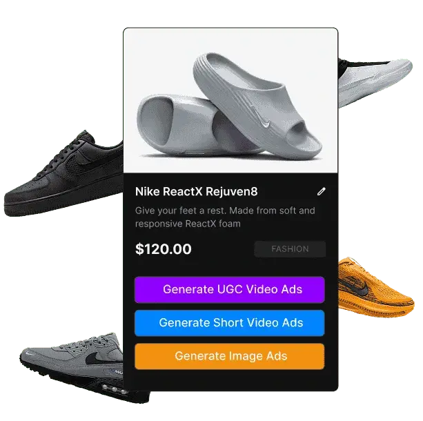 Catalog